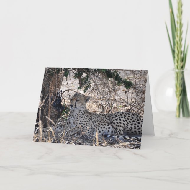 Tucked bort kort (Framsida)