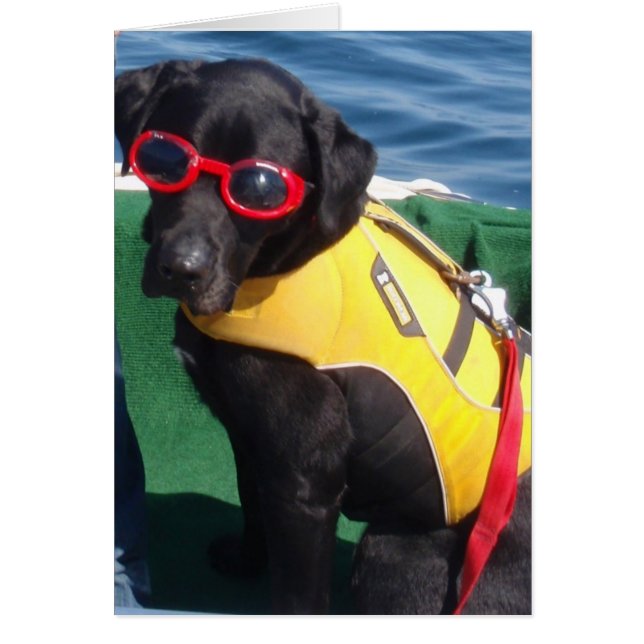 Tucker i Gogglesbeskyddhundar Labrador Hälsningskort (Framsidan)