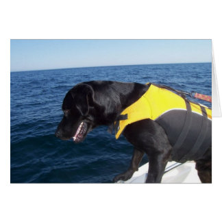 Tucker på arbetsbeskyddhundar Labrador Hälsningskort