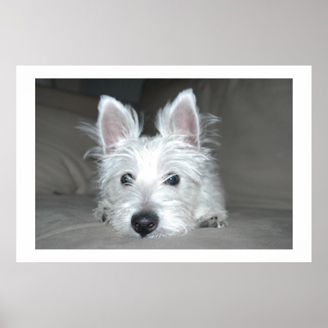 Tucker Poster (Framsidan)