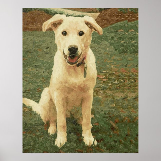 Tucker  poster (Framsidan)