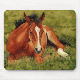 Tuckered ut - vila fölet Mousepad Musmatta