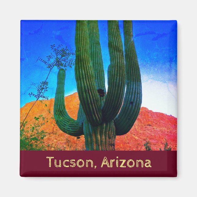 Tucson, Arizona Desert Cactus Magnet (Framsidan)