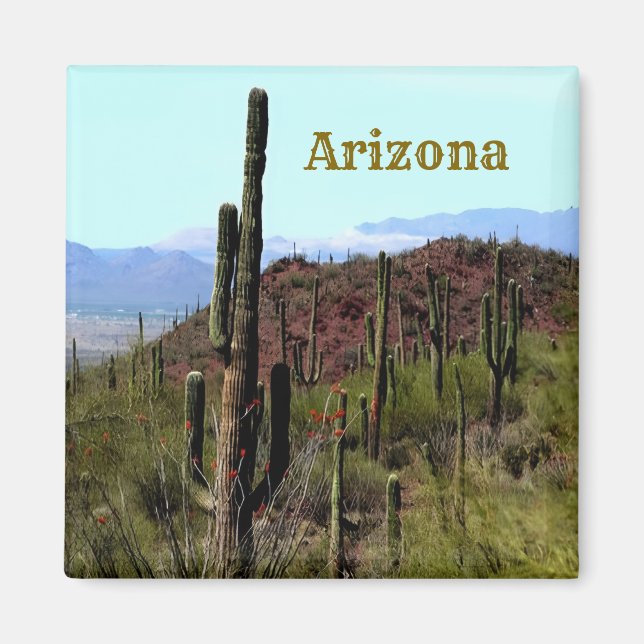 Tucson Arizona Magnet (Framsidan)