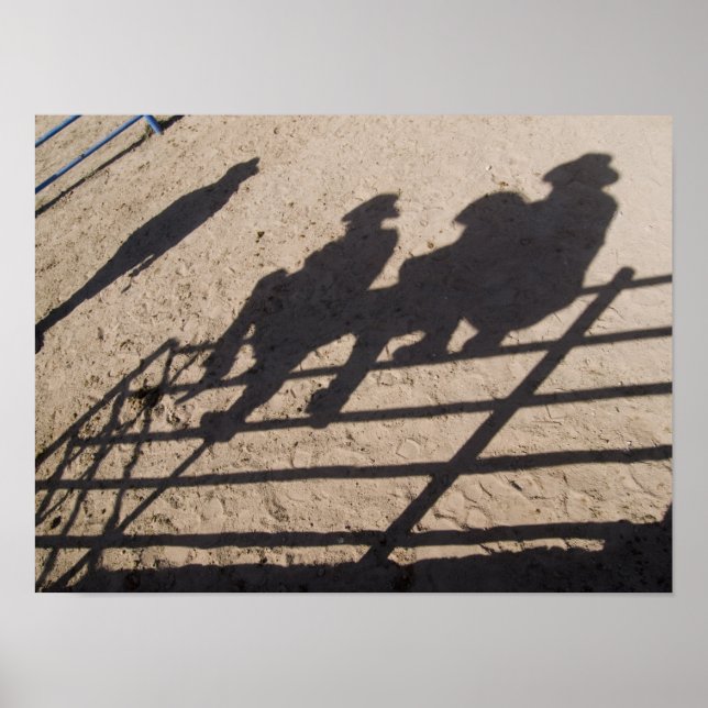 Tucson, Arizona: Skuggor av Rodeo-tävlande Poster (Framsidan)