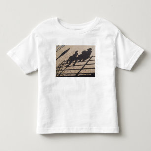 Tucson, Arizona: Skuggor av Rodeo-tävlande Tee