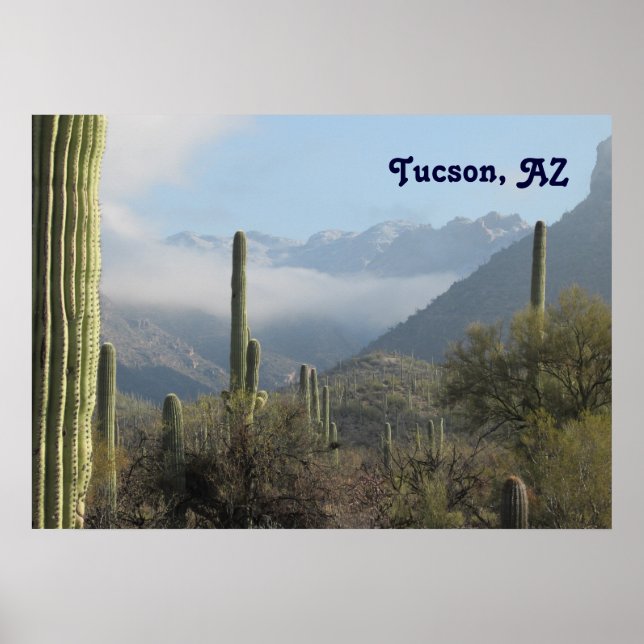 Tucson Desert Poster (Framsidan)