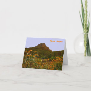 Tucson Mountains och vilda blommor vid solnedgång Tack Kort