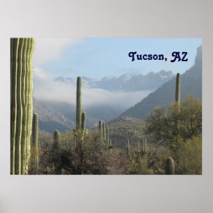 Tucson öken poster