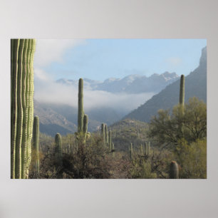 Tucson ökenaffisch poster