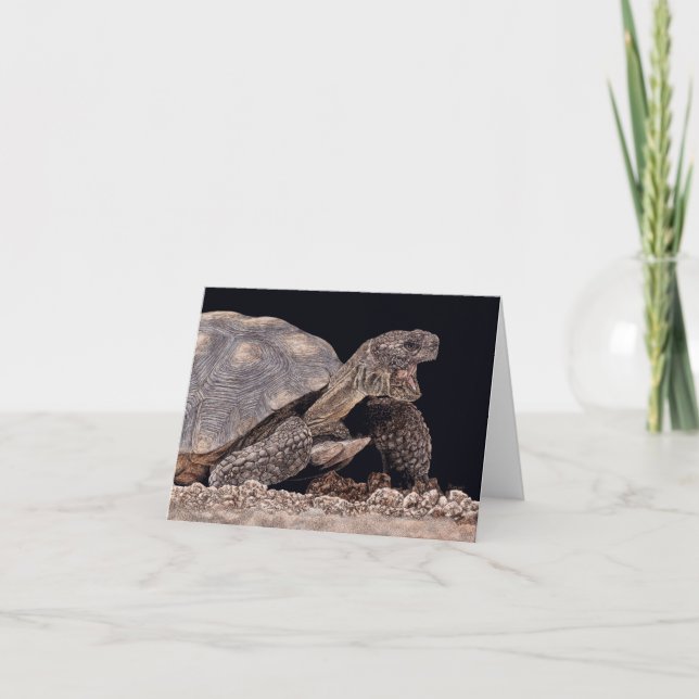 "Tucson Yawn" - Desert Tortoise Card Kort (Framsida)
