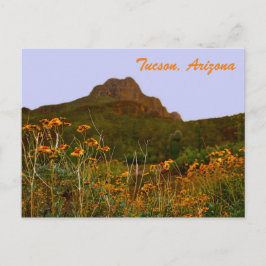 Tucsonberget och Wildblommor i Sunset Vykort