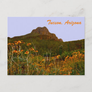 Tucsonberget och Wildblommor i Sunset Vykort