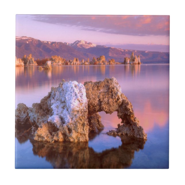 Tufa-båge vid Mono Lake Kakelplatta (Framsidan)