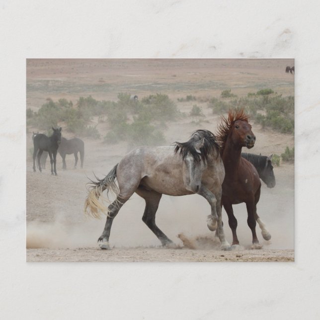 Tuff Kärlek Vykort (Framsida)