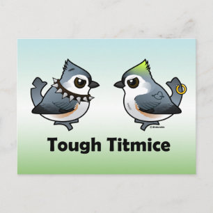 Tuff Titmice Vykort