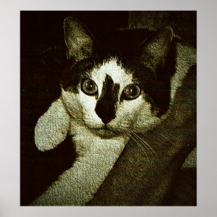 Tuffa Bud. Poster