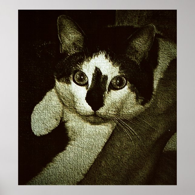 Tuffa Bud. Poster (Framsidan)