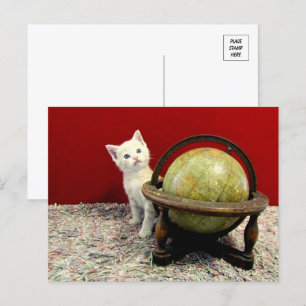 Tuffy McDuff Värld runt - Katt / Kitten Vykort