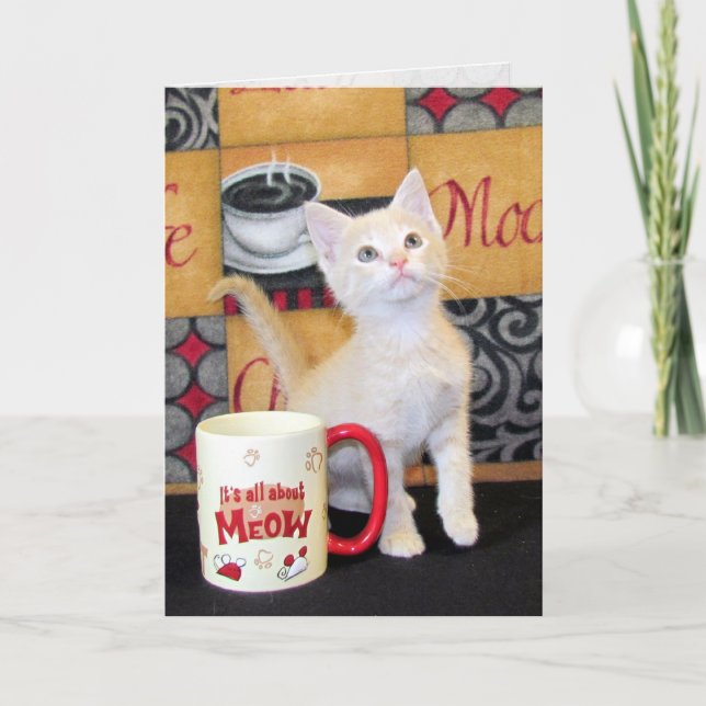 Tuffy McDuffs Mocha Dream Cat Birthday Card Kort (Framsida)