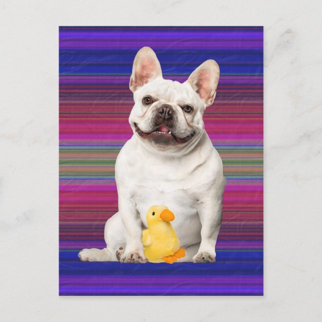 "Tuffy McTuggs" vykort (Framsida)