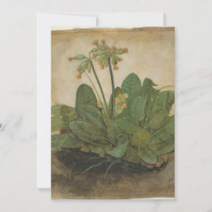 Tuft av Cowslips av Albrecht Durer