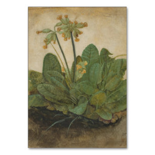 Tuft av Cowslips av Albrecht Durer Bordsnummer