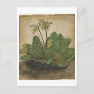 Tuft av Cowslips av Albrecht Durer Vykort