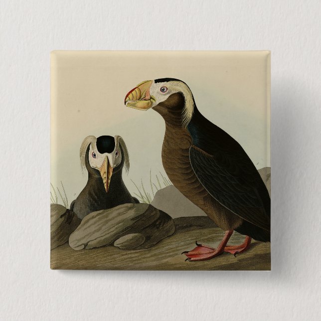Tuftad Auk (Puffin) - Audubon's Birds of America Knapp (Framsida)
