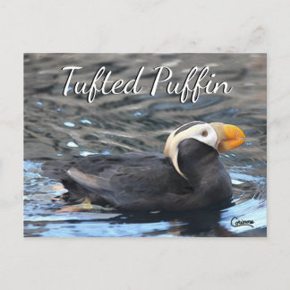 Tuftad puffin - vykort