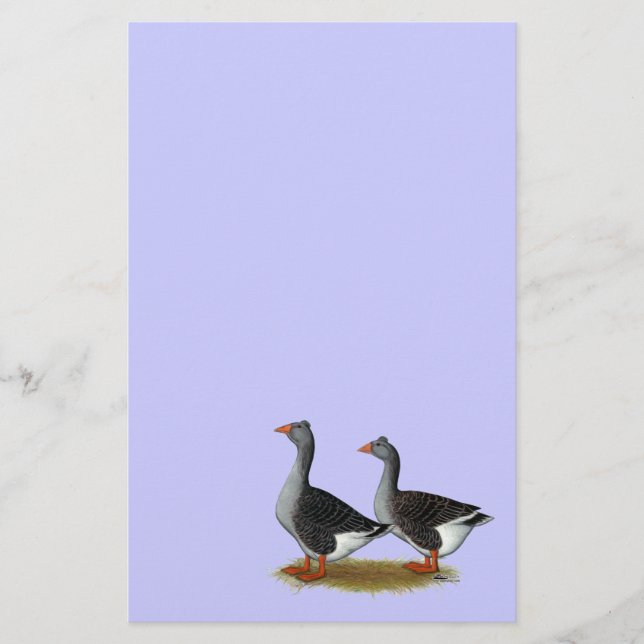 Tuftad Toulouse Geese (Framsida)