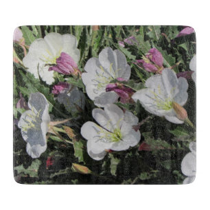 Tufted aftonPrimroseblom