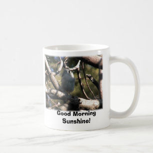 tufted mes, bra morgonsolsken! kaffemugg