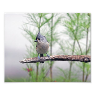 Tufted mes fototryck