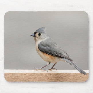 Tufted mes musmatta