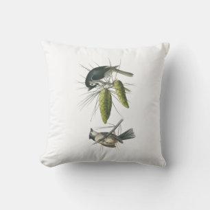 Tufted mes vid Audubon Kudde