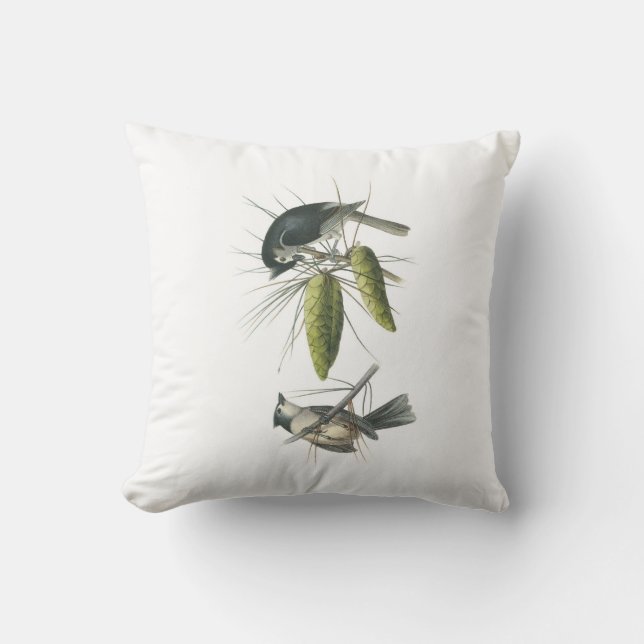 Tufted mes vid Audubon Kudde (Framsida)
