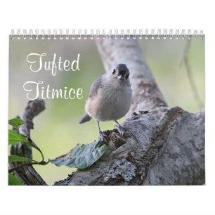 Tufted mesar kalender