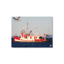 Tug Boat på Mutiny Bay med fågel