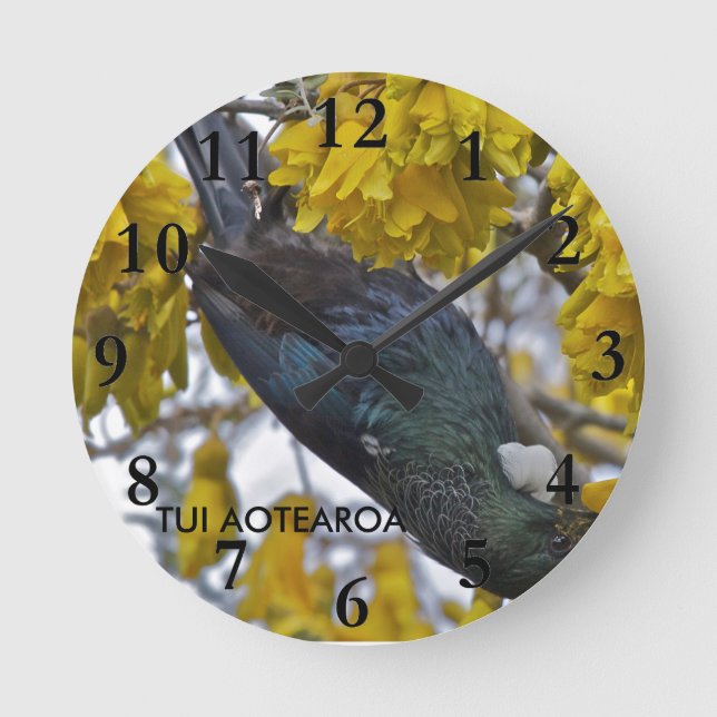 Tui av Aotearoa Rund Klocka (Framsida)