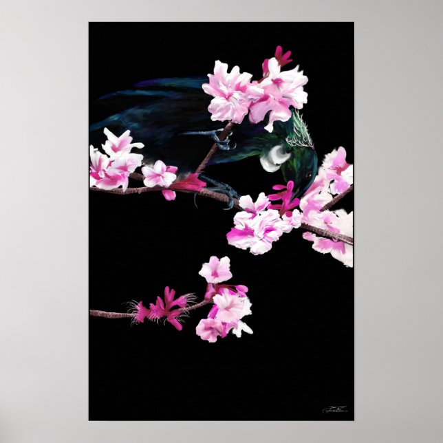 Tui Bird matande på Cherry Blommars - (STORE) Poster (Framsidan)