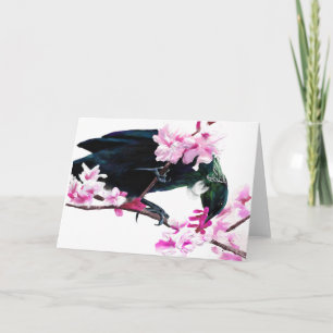 Tui fågel som matar på körsbärsröda blommar kort