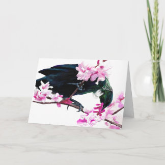 Tui fågel som matar på körsbärsröda blommar kort