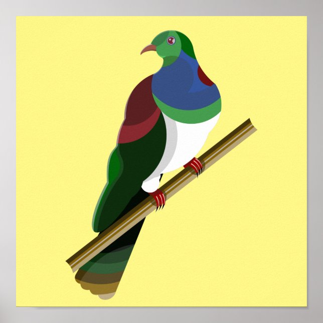 Tui Kereru NZ Bird Poster (Framsidan)