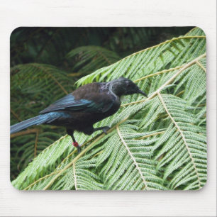 Tui Musmatta