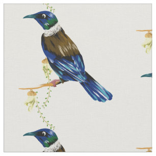 Tui New Zealand native bird Tyg