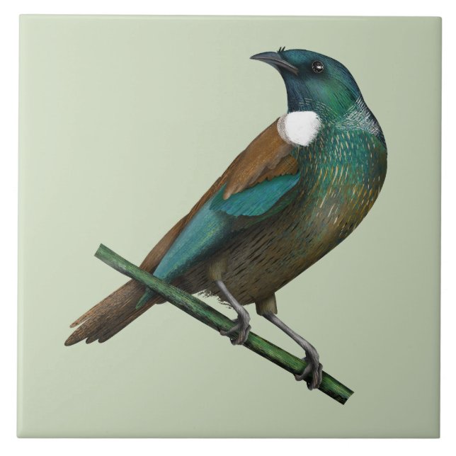 Tui New Zealands Bird Kakelplatta (Framsidan)