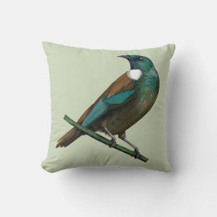 Tui New Zealands Bird Kudde