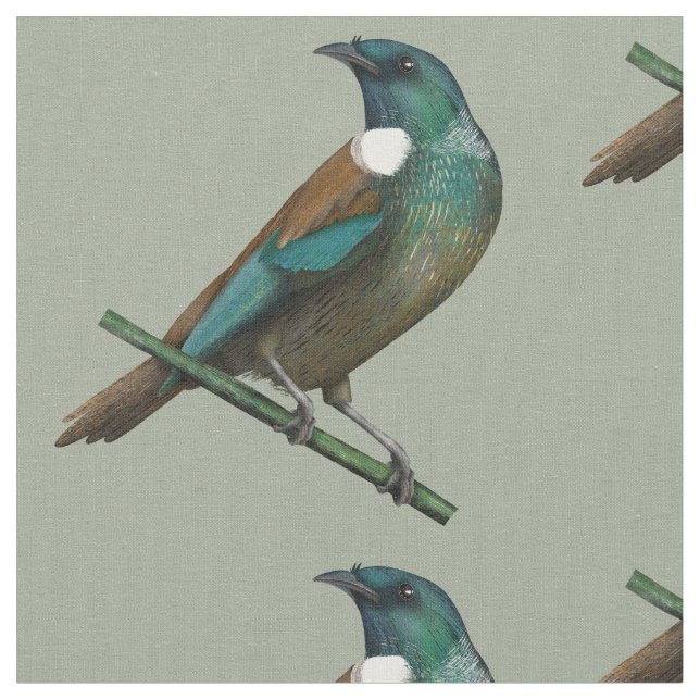 Tui New Zealands Bird Tyg (Närbild)