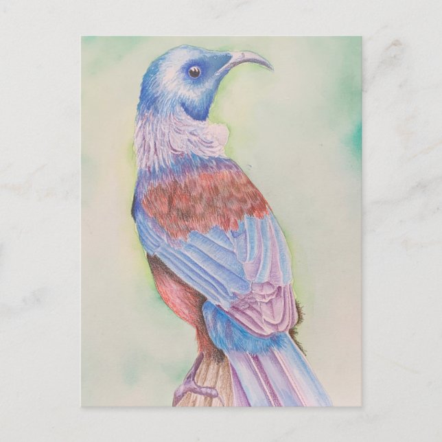 Tui - vykort (Framsida)